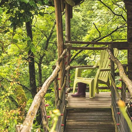 Terragora Lodges - Hebergement Atypique Les Epesses Bagian luar foto
